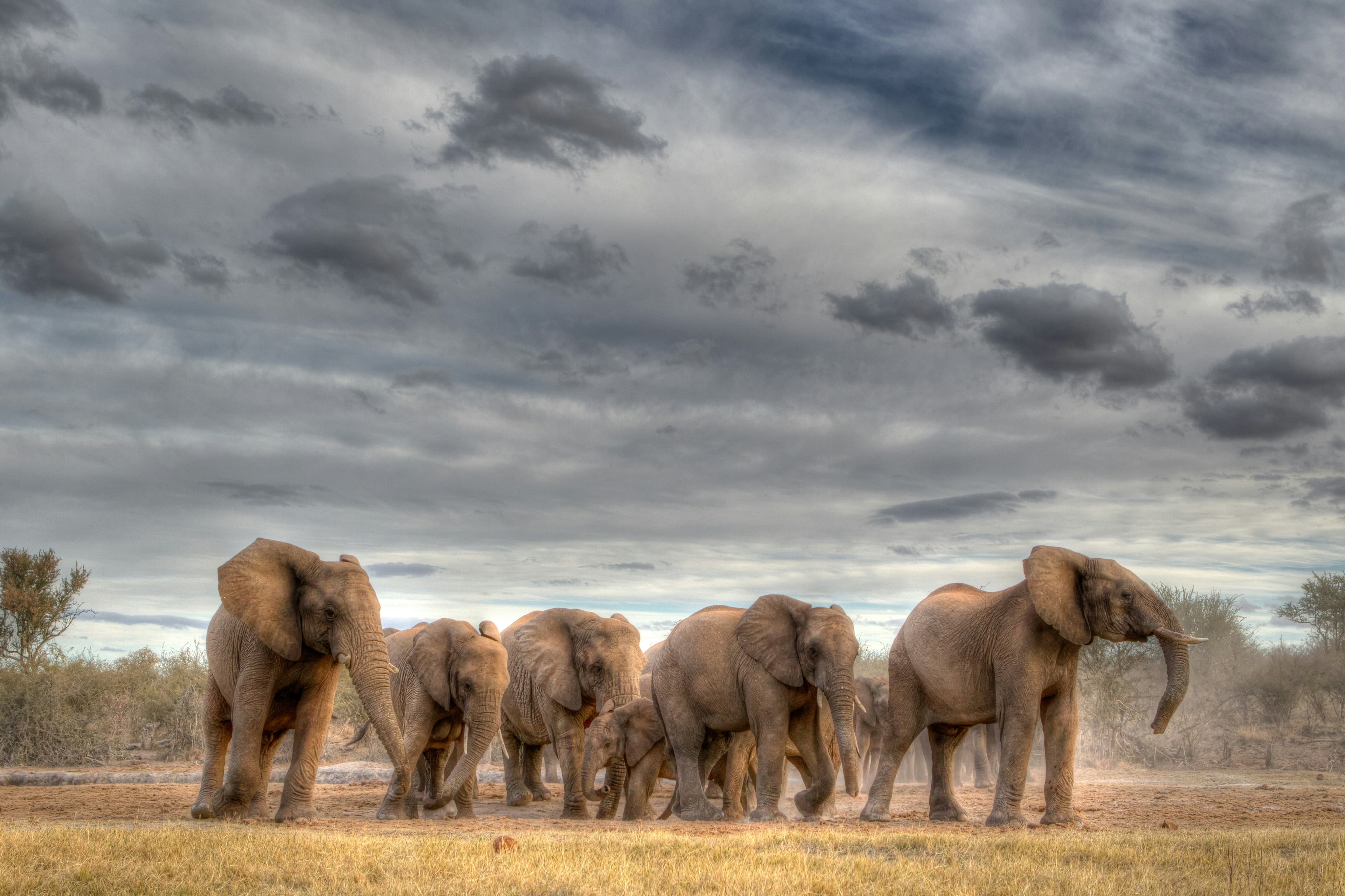 4-Day Tarangire & Ngorongoro Crater